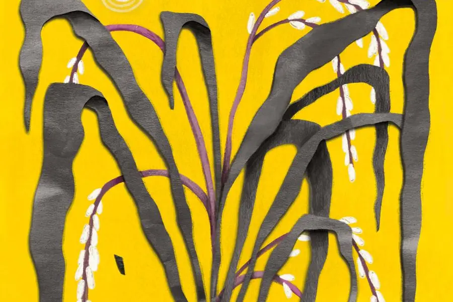 Illustrazione Gloria Di Bella