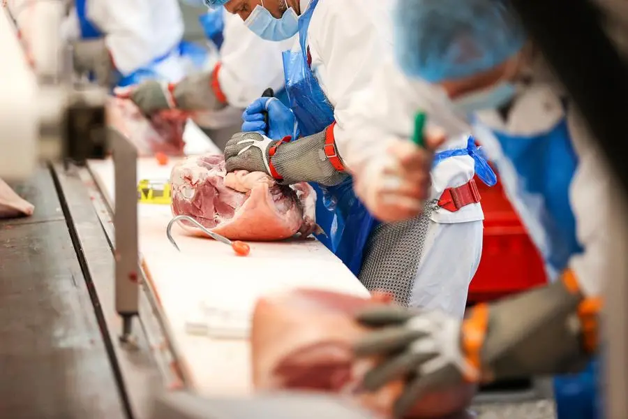 Photo by: Jan Woitas/picture-alliance/dpa/AP Images