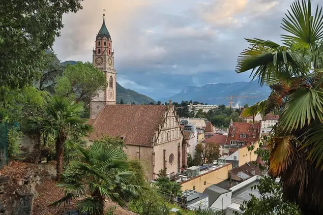 Un libro al mese: Non c'è storia del Trentino senza il Tirolo – 3°° -  UnserTirol24