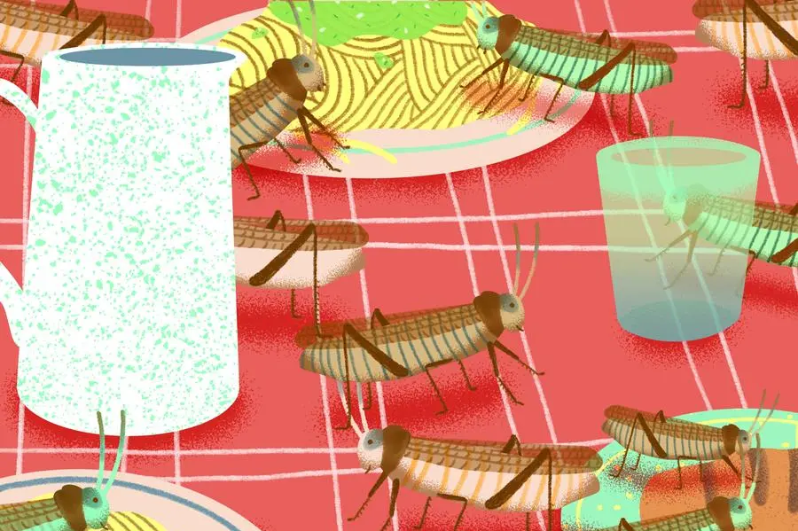 Illustrazione Laura Angelucci