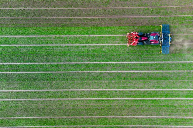 01 June 2021, Lower Saxony, Eickeloh: A farmer drives his tractor over a hemp field and brushes it to mechanically regulate the weeds (photo taken with a drone). The funding of the new Lower Saxony Organic Farming Competence Network with 750,000 euros per year is an important building block for increasing the share of organic land in Lower Saxony to around ten percent by 2025. Photo by: Philipp Schulze/picture-alliance/dpa/AP Images