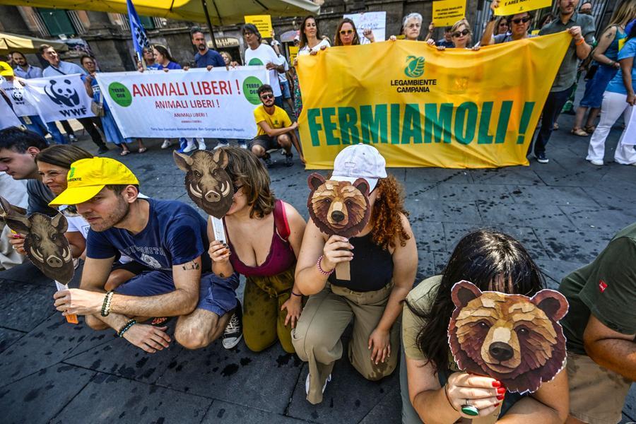 Dibattito parlamentare sul DDL caccia