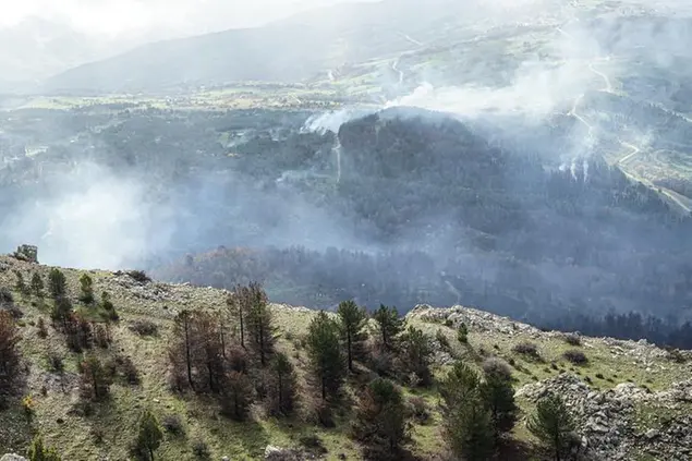 (Il fumo degli incendi. Foto Davide Mancini)