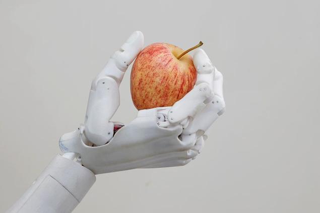 In this Sept. 28, 2017, photo, Hanson Robotics' flagship robot Sophia, a lifelike robot powered by artificial intelligence, holds an apple in Hong Kong. Sophia is a creation of the Hong Kong-based startup working on bringing humanoid robots to the marketplace. Founder David Hanson envisions a future in which AI-powered robots evolve to become \\u00E2\\u20AC\\u0153super-intelligent genius machines\\u00E2\\u20AC\\u009D that can help solve mankind\\u00E2\\u20AC\\u2122s most challenging problems. (AP Photo/Kin Cheung)