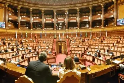 (Il P20 a Palazzo Madama. Foto Senato)