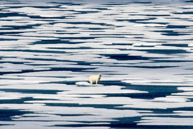 FILE - In this Saturday, July 22, 2017, file photo, a polar bear stands on the ice in the Franklin Strait in the Canadian Arctic Archipelago. The U.N.\\u00E2\\u20AC\\u2122s climate chief Patricia Espinosa says deadlines set by some of the world's top polluters to end greenhouse gas emissions, along with president-elect Joe Biden's pledge to take the United States back into the Paris accord, have boosted hopes of meeting the pact's ambitious goals. (AP Photo/David Goldman, File)