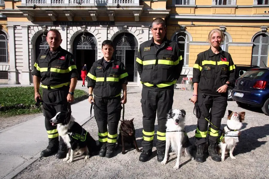 Unità cinofile dei Vigili del Fuoco: la storia dei cani-eroi - Le vernici  ignifughe per il legno Firewall