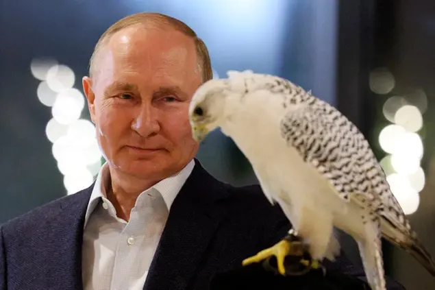 Russian President Vladimir Putin looks at a falcon as he visits the Kamchatka Falcon Centre for rare bird of prey reintroduction and conservation in Milkovsky district of Kamchatka Territory, Russia Far east, Monday, Sept. 5, 2022 . (Gavriil Grigorov, Sputnik, Kremlin Pool Photo via AP)