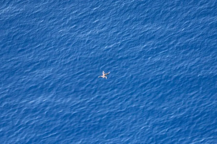 Migranti, i corpi delle vittime restano in mare: «I loro diritti negati anche nella morte»