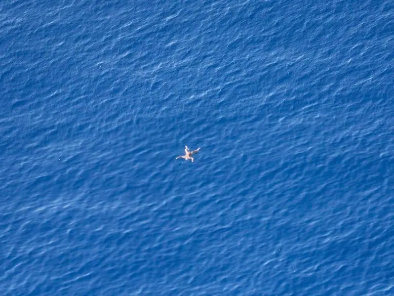 Migranti, i corpi delle vittime restano in mare: «I loro diritti negati anche nella morte»