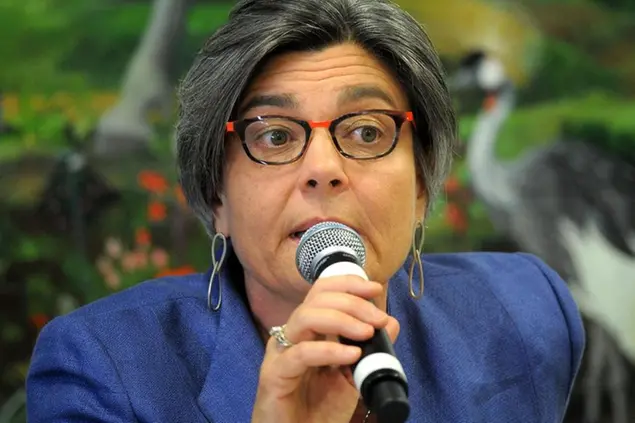 Ada Lucia De Cesaris