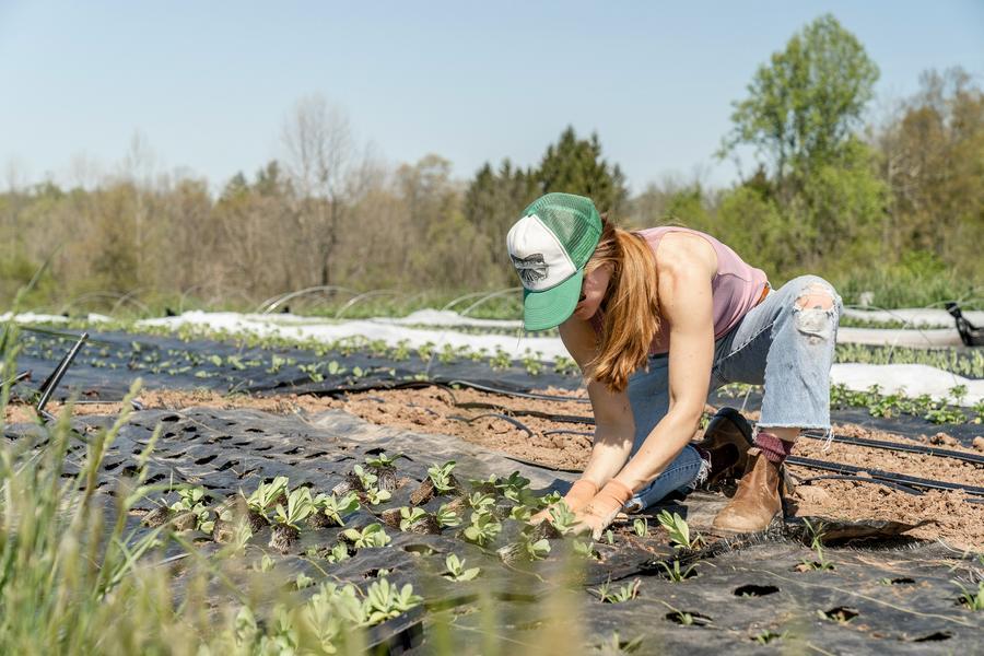 Non tutti corrono in città. Quei giovani alla ricerca dell’utopia ecologica