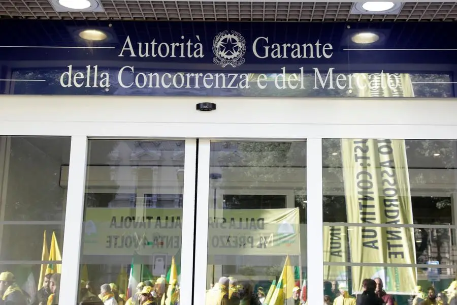 Copyright: Stefano Costantino