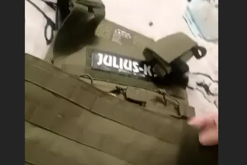 Un'immagine nelle chat telegram delle ronde antimaranza di Articolo 52