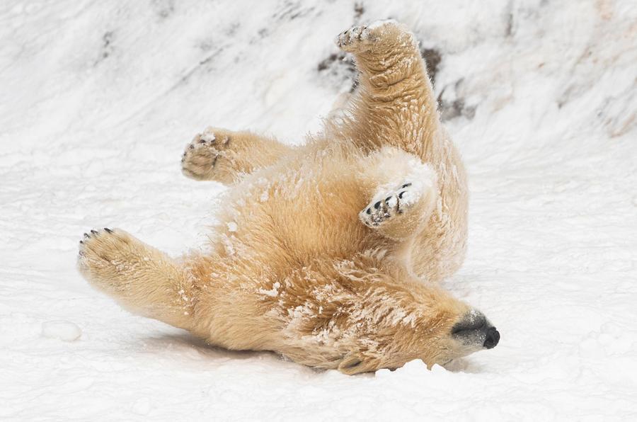 Riscaldamento globale, negli ultimi tre anni abbiamo superato il limite degli accordi di Parigi