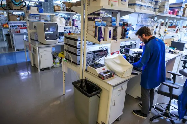 Un centro di ricerca in Florida per arrivare a diagnosi precoci di Alzheimer (foto Ansa)