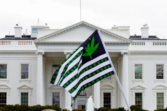 FILE - A demonstrator waves a flag with marijuana leaves depicted on it during a protest calling for the legalization of marijuana, outside of the White House on April 2, 2016, in Washington. President Joe Biden is pardoning thousands of Americans convicted of â€œsimple possessionâ€ of marijuana under federal law, as his administration takes a dramatic step toward decriminalizing the drug and addressing charging practices that disproportionately impact people of color. (AP Photo/Jose Luis Magana, File)