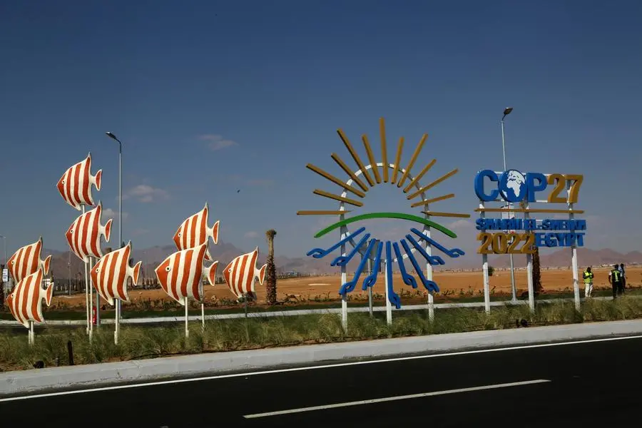 (AP Photo/Thomas Hartwell)