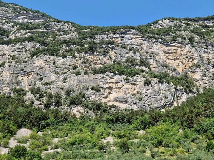 La zona in Trentino dove è avvenuto l'attacco di un orso al turista francese (Ansa)