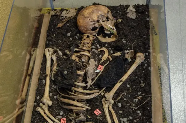 Uno scheletro all’interno del Laboratorio di antropologia e odontologia forense dell'Università degli Studi di Milano. Foto: LaPresse