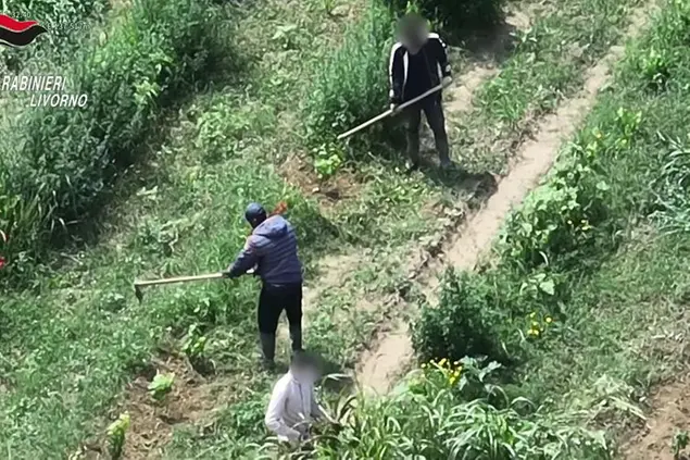 Recente operazione anti caporalato a Livorno