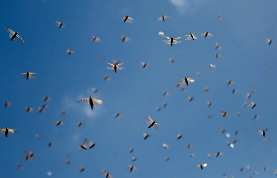 Copyright 2021 The Associated Press. All rights reserved