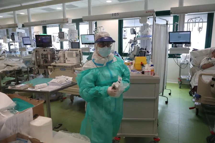 michele.nucci@gmail.com