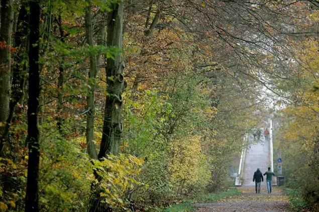 30 November 2022, North Rhine-Westphalia, Duisburg: Under a canopy of autumn leaves cyclists walk passers-by. The German Weather Service (DWD) has presented its preliminary weather balance for the fall. Photo by: Roland Weihrauch/picture-alliance/dpa/AP Images