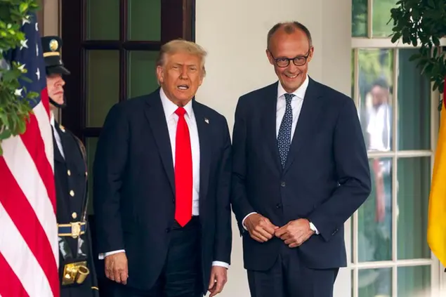 Donald Trump e Friedrich Merz
