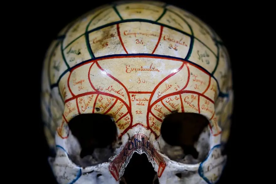 Courtesy Museo della Storia della Medicina