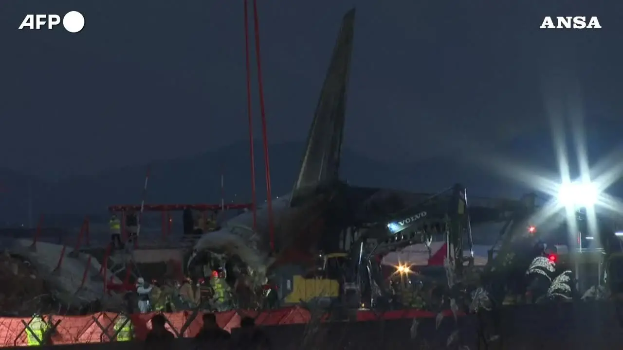 Strage in Corea del Sud, aereo di linea si schianta durante atterraggio ...