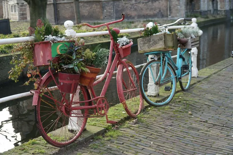 La cultura ciclistica è profondamente radicata\\u00A0nella vita quotidiana olandese. Foto\\u00A0Imane Rachidi
