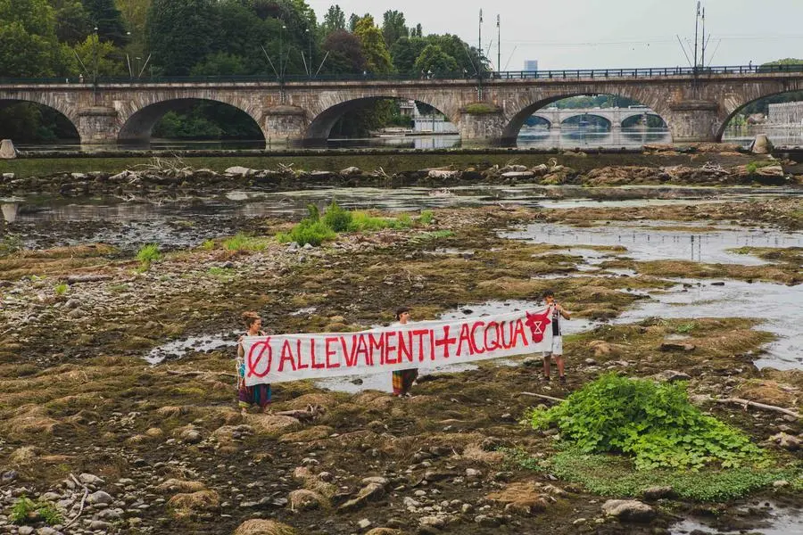 LaPresse All Rights Reserved