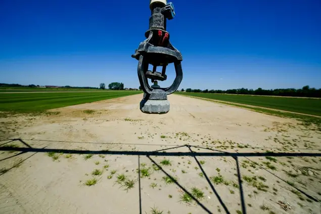 The nozzle of an automatic watering system hangs dry in Locate di Triulzi, some 14 kilometers south-east of Milan in northern Italy, Friday, July 8, 2022. The Italian government declared a state of emergency early this week for much of the rain-parched north heavily agricultural regions amid a drought. (AP Photo/Luca Bruno)