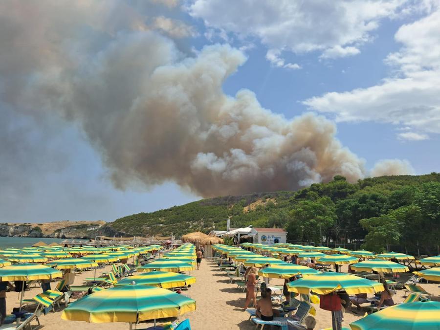 Boschi in fiamme lambiscono centri abitati, mentre politici discutono su nomine