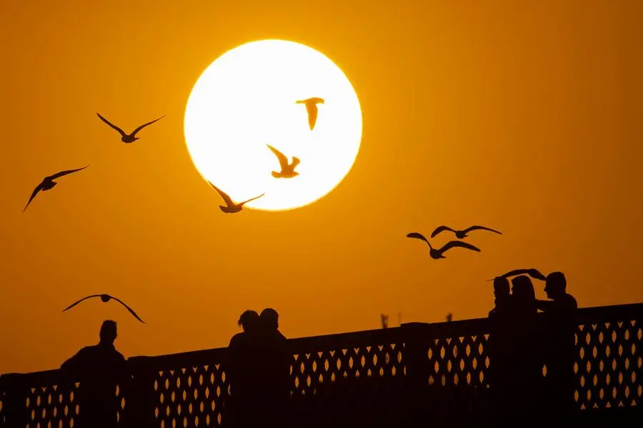 (AP Photo/Hadi Mizban)