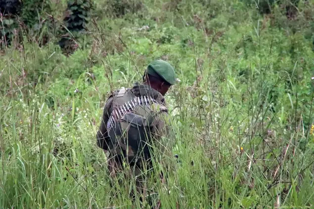 A member of the Congolese military searches an area leading to where bodies were found near to where a U.N. convoy was attacked and the Italian ambassador to Congo killed, in Nyiragongo, North Kivu province, Congo Monday, Feb. 22, 2021. The Italian ambassador to Congo Luca Attanasio, an Italian Carabineri police officer and their Congolese driver were killed Monday in an attack on a U.N. convoy in an area that is home to myriad rebel groups, the Foreign Ministry and local people said. (AP Photo/Justin Kabumba)