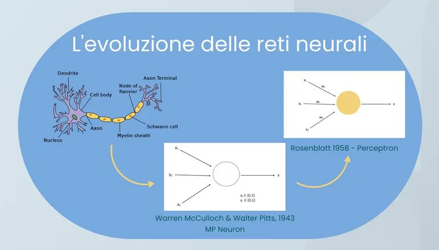 Elaborazione grafica di Gino Roncaglia