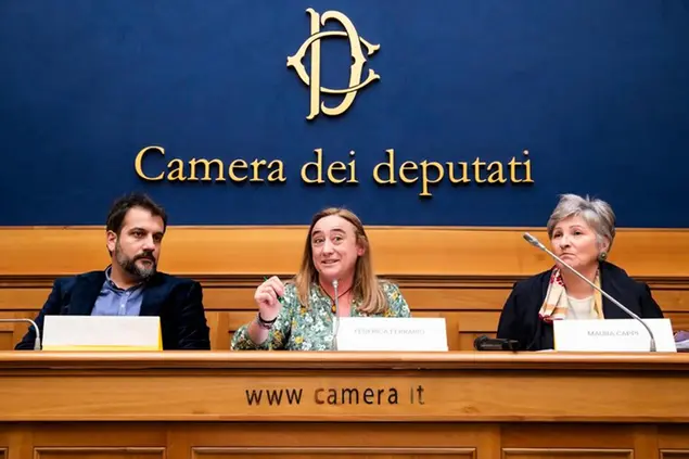 Francesco Romizi e Federica Ferrario di Greenpeace Italia e Maura Cappi, portavoce del Comitato G.A.E.T.A. di Schivenoglia (MN), durante la conferenza stampa (Foto Ansa)