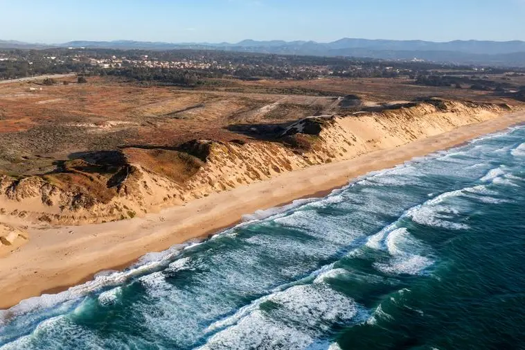 (AP Photo/Noah Berger)