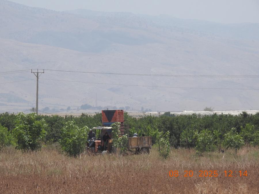Prodotti degli insediamenti israeliani importati in UE
