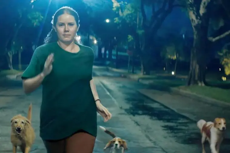 COURTESY OF SEARCHLIGHT PICTURES