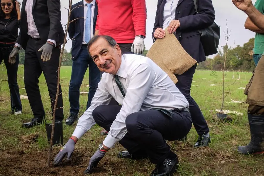 Beppe Sala pianta un albero al Parco Nord di Milano (LaPresse)