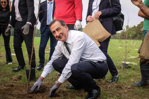 Beppe Sala pianta un albero al Parco Nord di Milano (LaPresse)