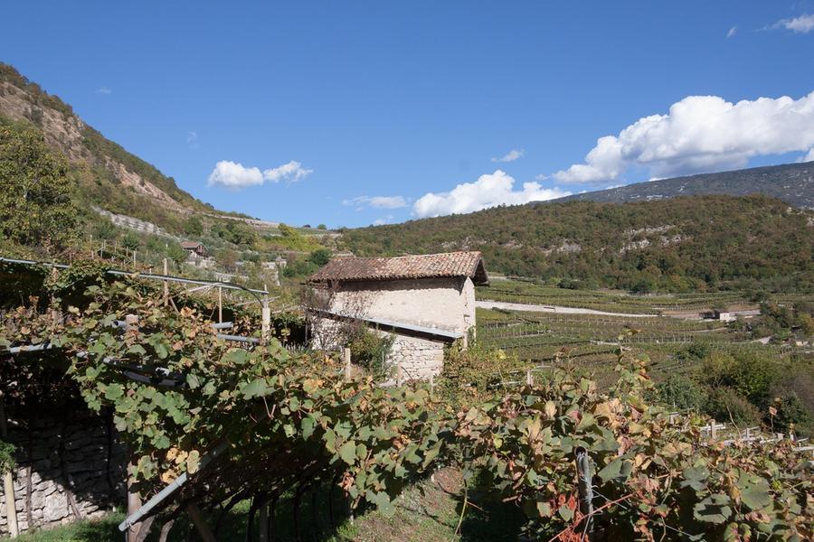 Un gruppo di abitanti di Štivor, in Bosnia, cerca di ricostruire la filiera vinicola legata alla tradizione valsuganotta