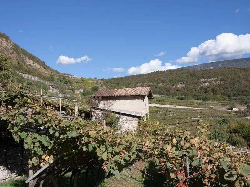 Il gusto del ritorno, dal Trentino alla Bosnia: ritrovare il sapore della propria storia