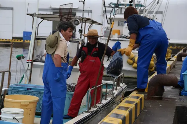 Pescatori a Fukushima (Piergiorgio Pescali)
