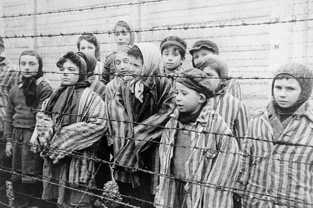 Auschwitz 30