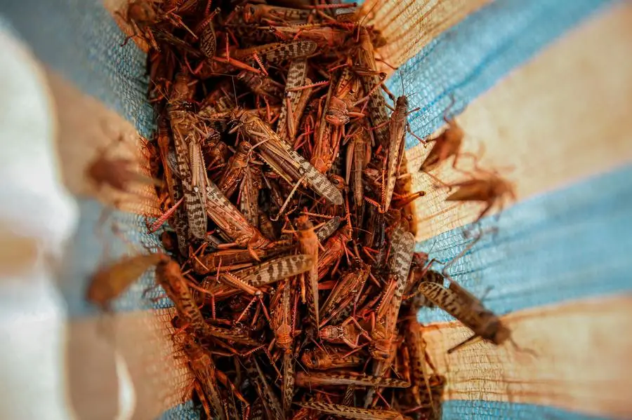 Copyright 2021 The Associated Press. All rights reserved