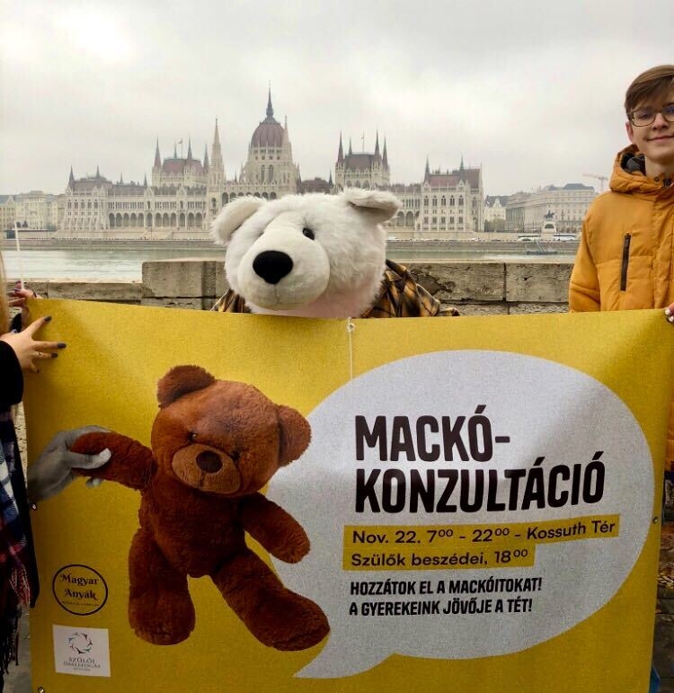 (Studenti assieme all'orso-simbolo delle proteste, venerd\\u00EC 18 novembre a Budapest, durante la catena umana. Foto di Francesca De Benedetti)